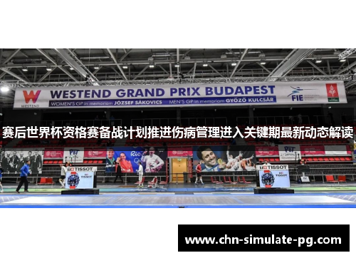 赛后世界杯资格赛备战计划推进伤病管理进入关键期最新动态解读